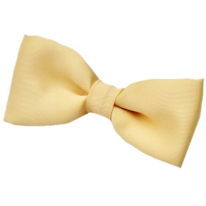 Boys Gold Satin Plain Dickie Bow Tie on Elastic